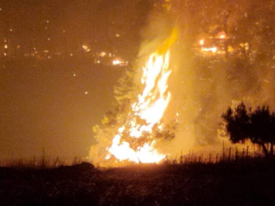 Συντονιστική επιτροπή πυρόπληκτων Βόρειας Εύβοιας, ευχαριστήριο