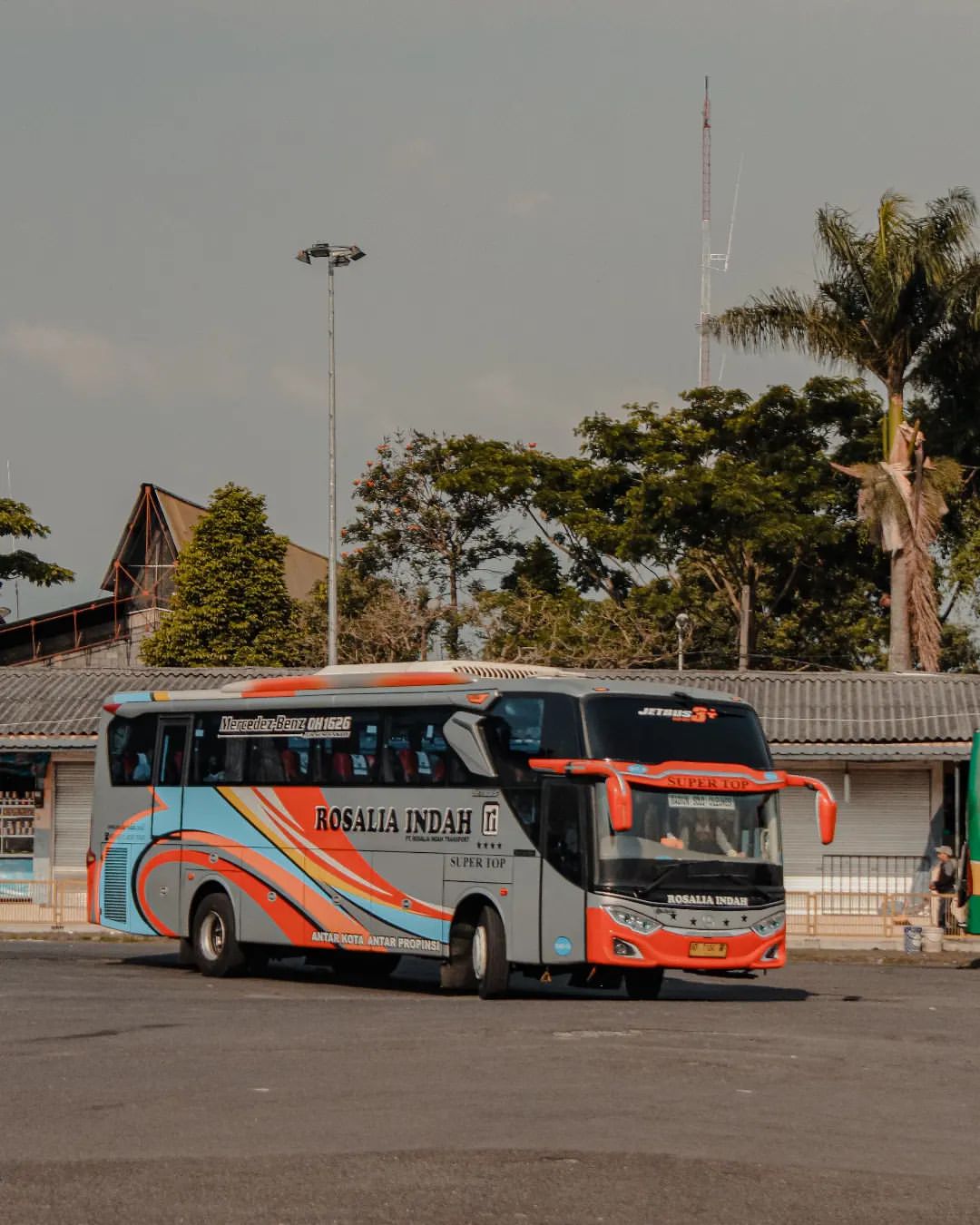 jadwal bus rosalia indah