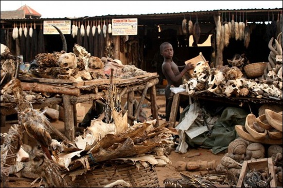 World’s Largest Voodoo Market - Togo Akodessewa 01