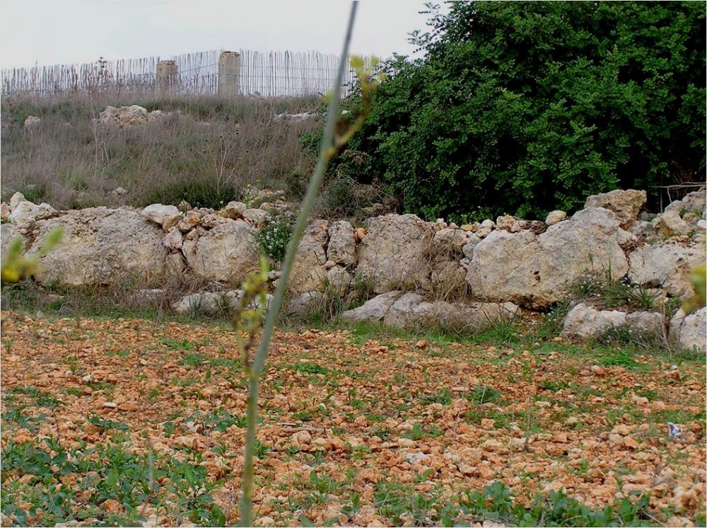 50 new sites in Malta scheduled for protection