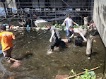 Sosok Mayat Ditemukan Mengambang di Perairan Dermaga Onan Baru