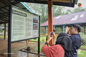 Candi Padang Roco