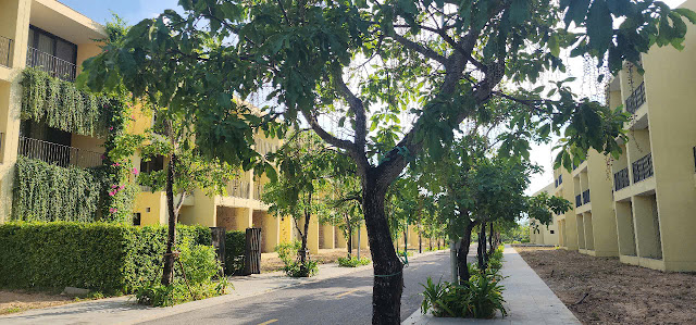 tiến độ dự án