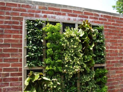 Rent to Own.ph Blog: Inspiring Vertical Gardens for Small Spaces