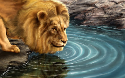 Animals Wallpaper - Lion
