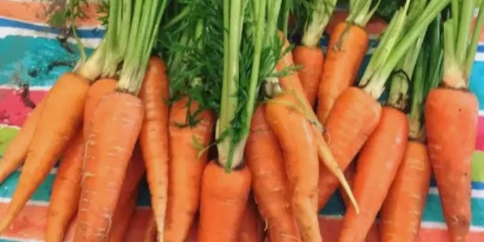 Benefits of Carrot for Skin