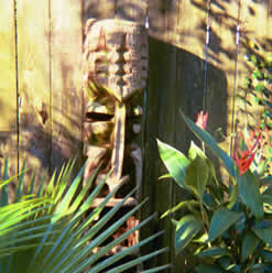 The Backyard Tiki