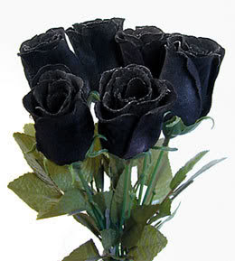 black rose Arti Warna Pada Bunga Mawar