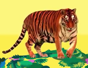 https://youtu.be/TCgnHNNPCkA