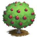 tree general fig generic icon 149ed160d50f591bd21baa67853af5a0 Making a Splash Quest Preview!