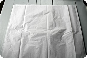 DIY tissue poms