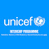 The UNICEF Internship Program