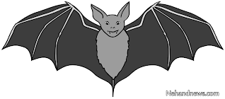 Kelelawar Bat