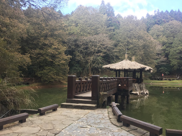 alishan, chiayi, taiwan