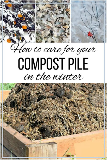 If you're new to composting, fall is the perfect time to build a new compost pile. Here's what you need, and how to maintain it over the winter.