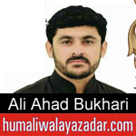 https://www.humaliwalayazadar.com/2019/10/ali-ahad-bukhari-nohay-2020.html