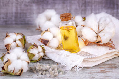 cottonseed-oil