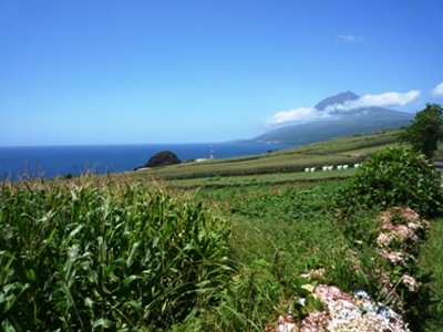 P1040899