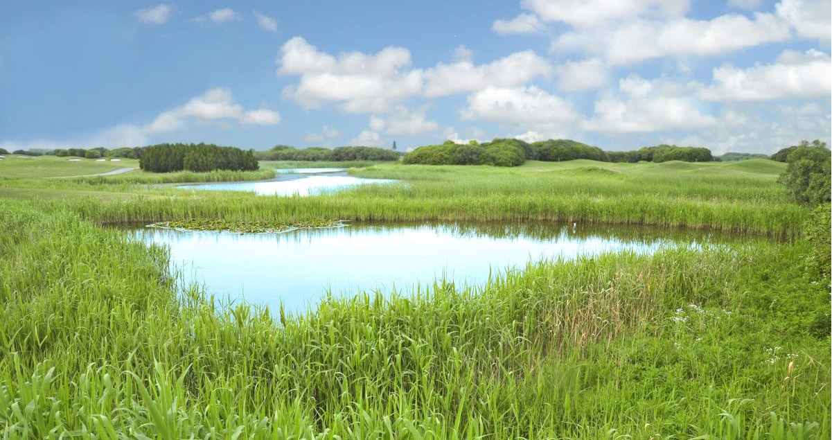 Water supply basics: How to use ponds as an emergency water source