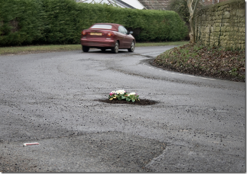 pothole_garden_03