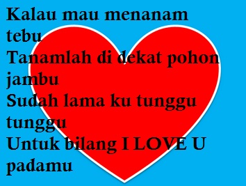 Pantun Cinta Romantis Buat Nembak Cewek