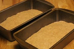 spelt-levain021