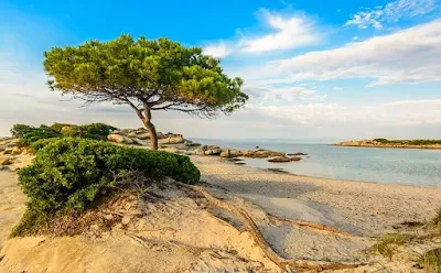 karydi-mia-paralia-sti-chalkidiki-na-tin-pieis-sto-potiri