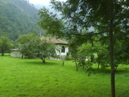 Camino a Espinareu (Piloña)