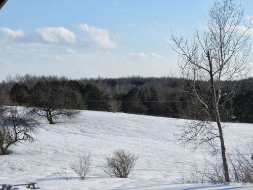 blue sky in winter