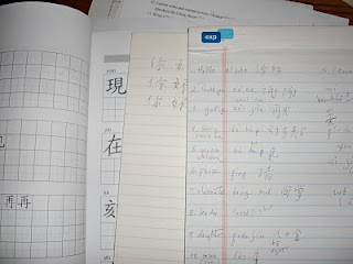 Chinese homework