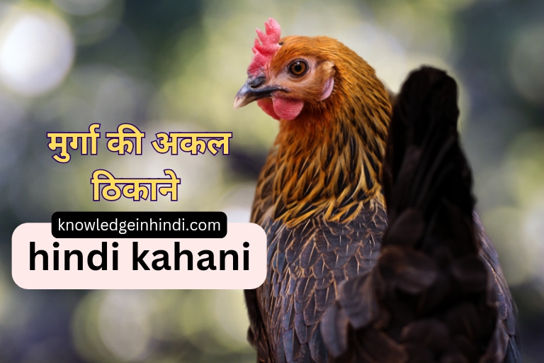 www.knowledgeinhindi.com