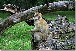 IMG_8142