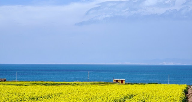 青藏鐵路沿途風光-青海湖