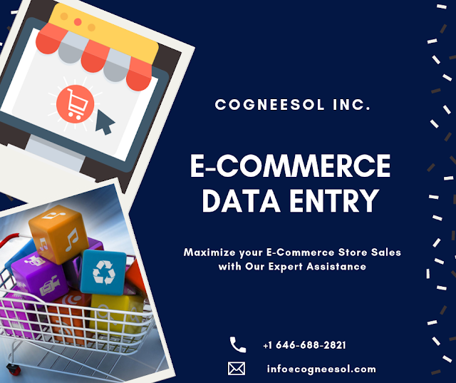 Ecommerce Data Entry