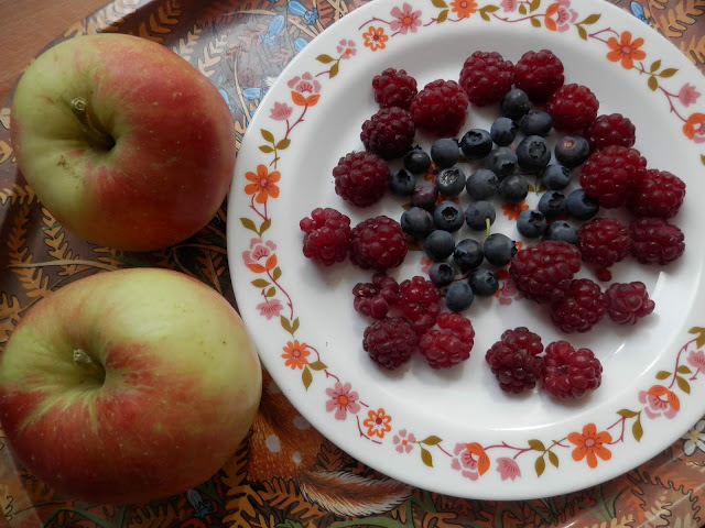 My homegrown harvest, August 2018.  From UK garden blogger secondhandsusie.blogspot.com #gardenharvest #gardenblogger #suburbanpermaculture 