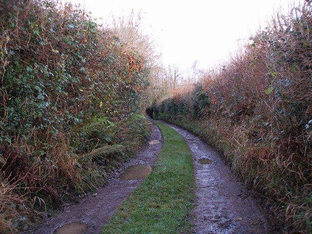 9th_december_08