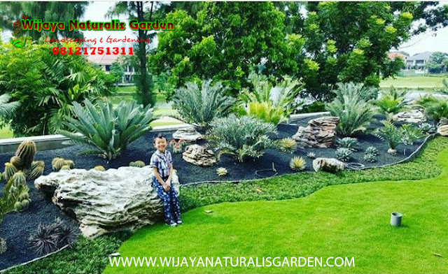 Tukang Taman Surabaya,Tukang Taman Surabaya Garden Center,Tukang Taman Surabaya Jasa pembuatan taman dan kolam minimalis Surabaya,Tukang Taman Surabaya alam asri,Tukang Taman Surabaya,Tukang Taman Surabaya murah,Tukang Taman Surabaya barat,Tukang Taman di Surabaya,Harga Tukang Taman Surabaya,Tukang Taman Murah di Surabaya,Jasa Tukang Taman di Surabaya,Tukang Buat Taman di Surabaya,Jasa Tukang Taman Surabaya,Tukang Taman Murah Surabaya,Tukang Taman di Surabaya,Tukang Taman Surabaya Wijaya Naturalis,Tukang Pembuatan Taman Surabaya,Ahli Tukang Taman di Surabaya,Tempat Tukang Pembuatan Taman di Surabaya,Jasa Tukang Pembuatan Taman di Surabaya,Lokasi Tukang Pembuatan Taman di surabaya,Alamat Tukang Pembuatan Taman di Surabaya,Tempat Tukang Pembuatan Taman Surabaya,Jasa Tukang Pembuatan Taman Surabaya,Lokasi Tukang Pembuatan Taman Surabaya,Alamat Tukang Pembuatan Taman Surabaya