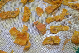 Carrot, ginger, sweet potato, tomato, spinach and banana microwave chips - no oil