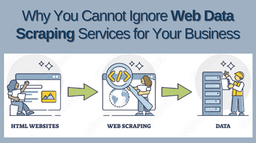 Web Data Scraping Services for Your Business