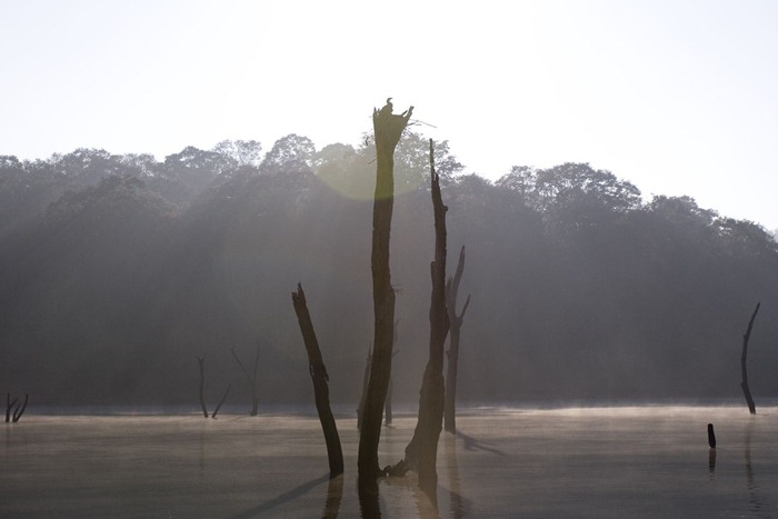 periyar (3)