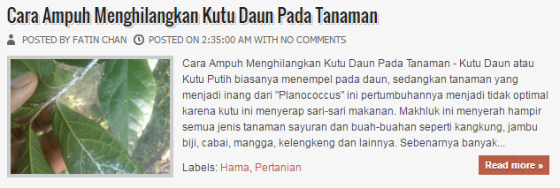  Cara Menghilangkan Kutu Putih