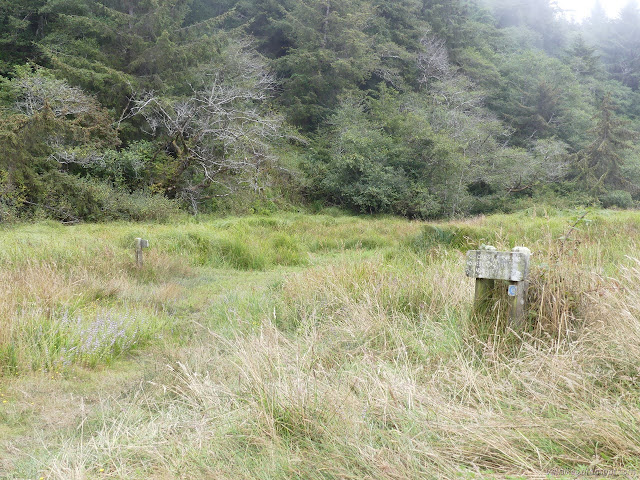 wooden signs in the grass