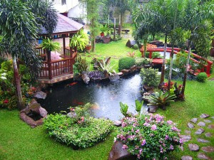 Tropical garden design minimalist picture