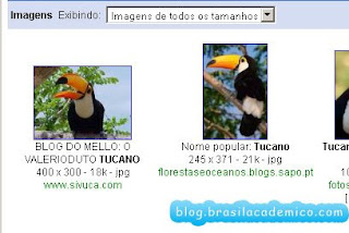 Busca de imagens no google