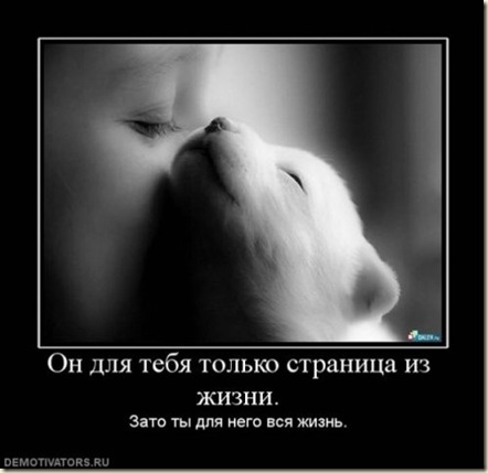 x_7cbe7297