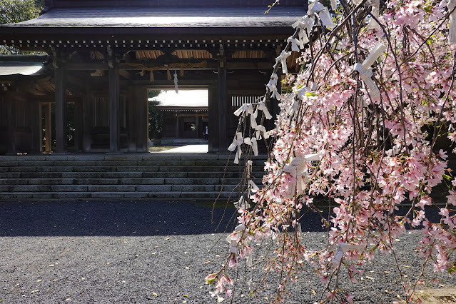 鳥取県西伯郡大山町名和 名和神社