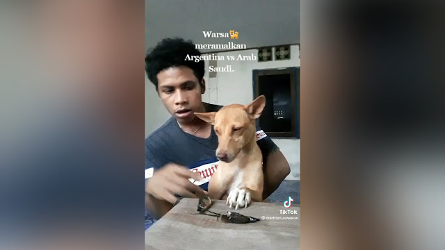 Warsa si Anjing Peramal Milik Marthen Arwakon Ramaikan Piala Dunia 2022