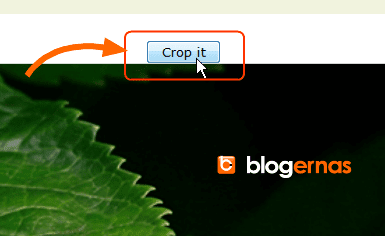 Cara Cropping Online Foto di Situs Resize