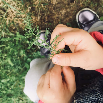 entre les doigts de l'enfant, la nature