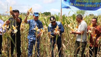 Danlanud dan Ketua PIA Ardhya Garini Panen Jagung Perdana Di Lanud El Tari